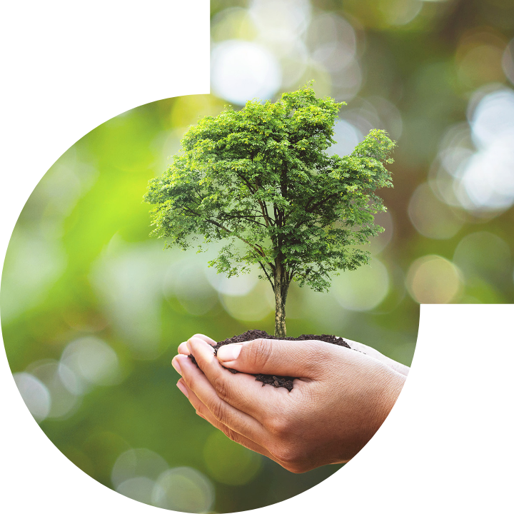 关怀人类、文化、环境与社会